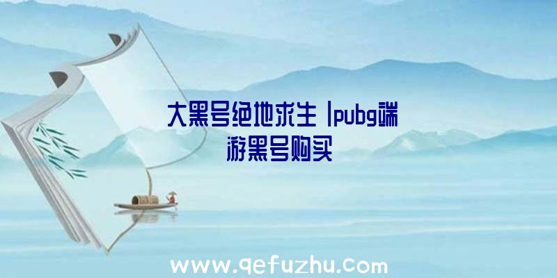 「大黑号绝地求生」|pubg端游黑号购买